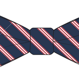 Stuart Hall Bow Tie - Pretied